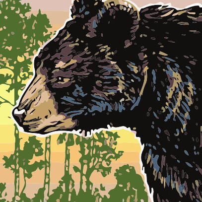 Wednesday Camps - logo